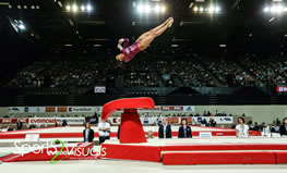 Vault